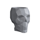 Skull Nano Planter