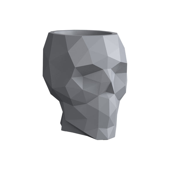 Skull Nano Planter