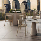 Africa Bar and Counter Stool (Set of 4)