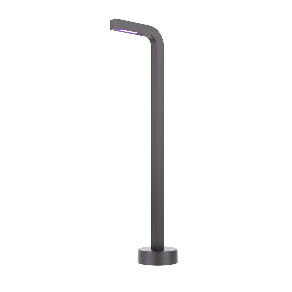 Colorscaping Outdoor Balance LED Path Light
