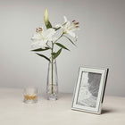 Classic Picture Frame