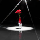 Lismore Red Bud Vase