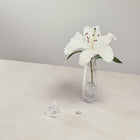 Lismore Round Ring Holder