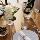 Opulence Ice Bucket and Tongs
