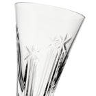 US250 Flute (Set of 2)
