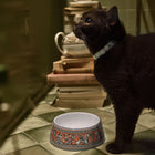 Florentine Pet Bowl