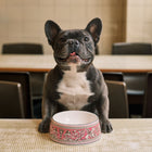 Florentine Pet Bowl