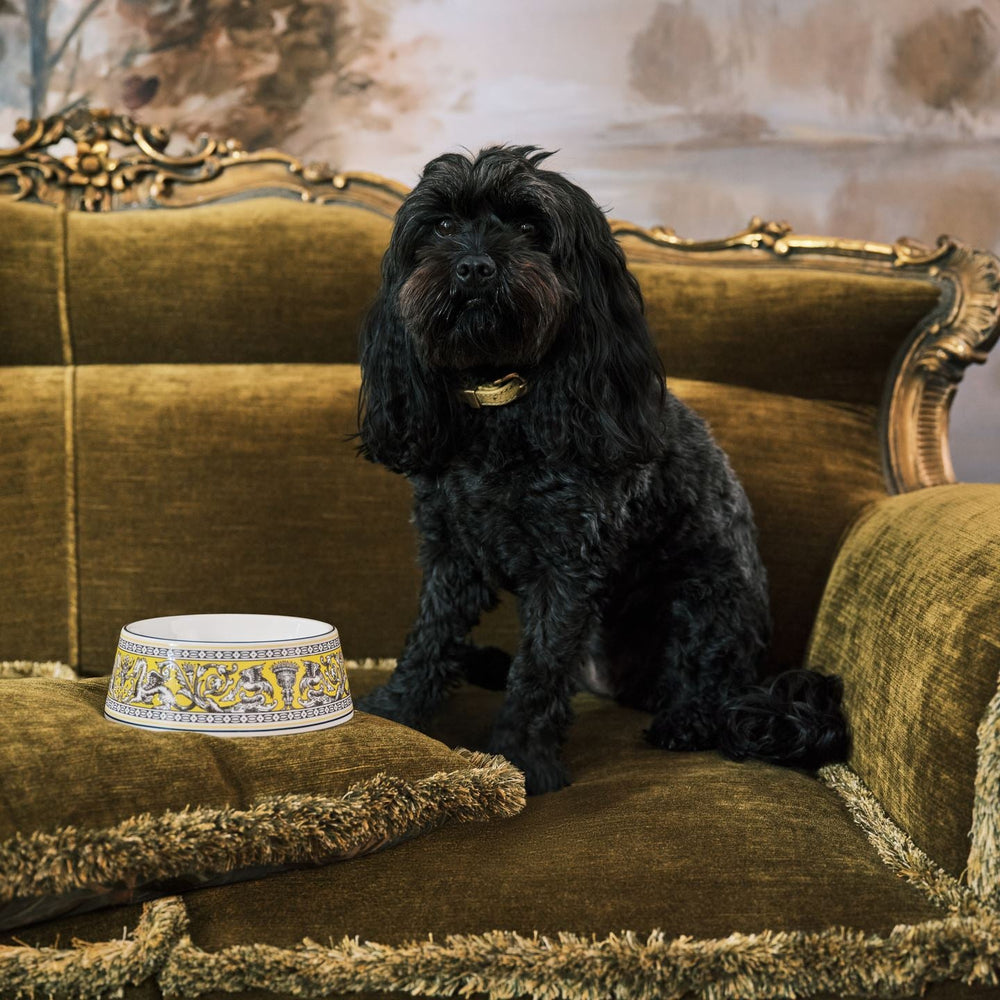 Florentine Pet Bowl