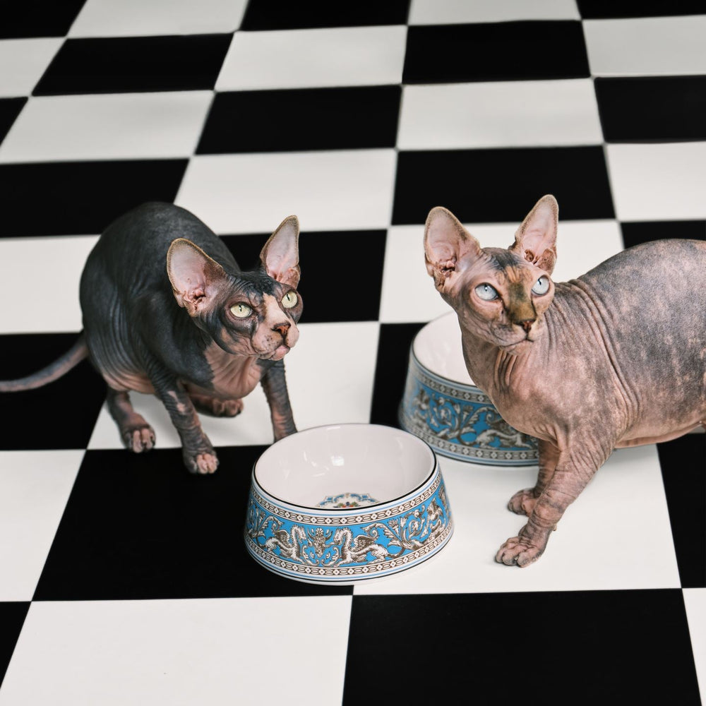 Florentine Pet Bowl