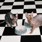 Florentine Pet Bowl
