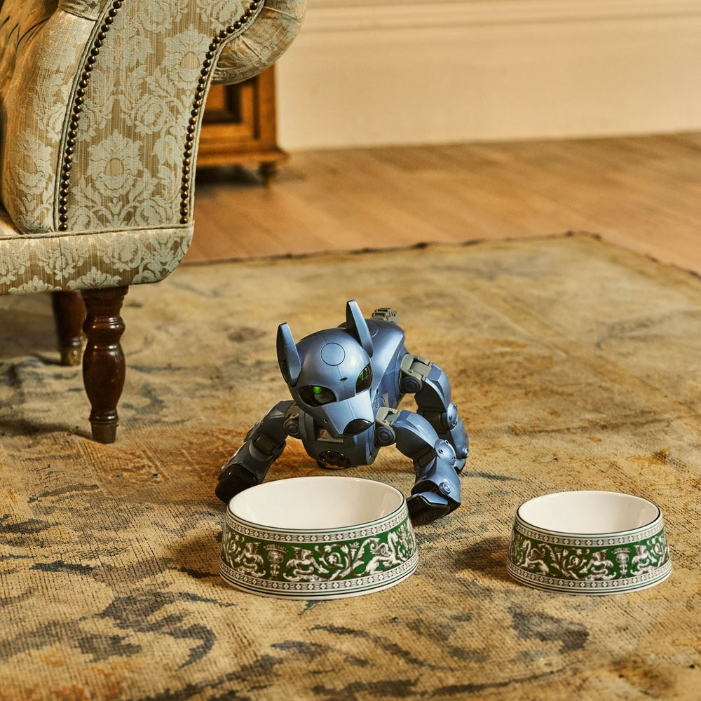 Florentine Pet Bowl