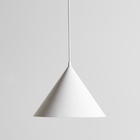 Annular Pendant Light