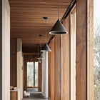 Annular Pendant Light