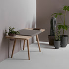 Baenk Bench