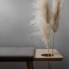 Baenk Bench