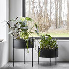 Pidestall Planter