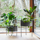 Pidestall Planter