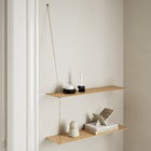 Stedge Shelf