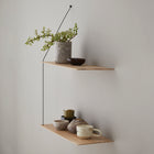 Stedge Shelf