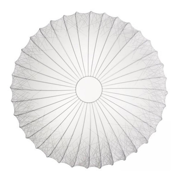 Muse Wall/Ceiling Light