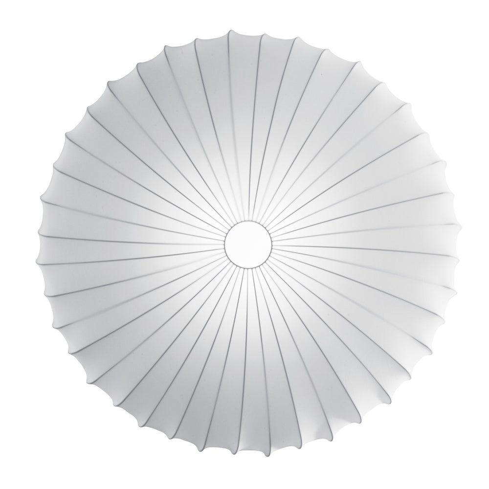 Muse Wall/Ceiling Light