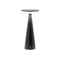 Damina Pro Portable Table Lamp  option Black