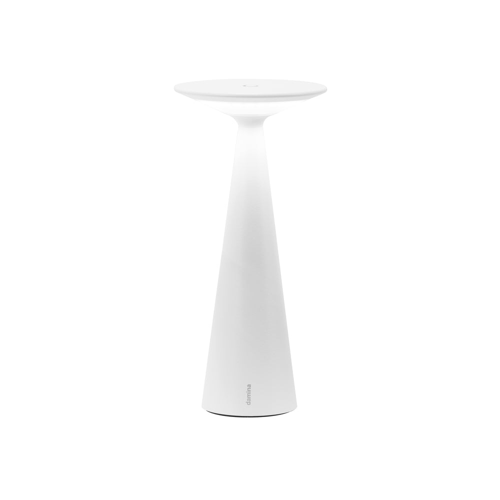 Damina Pro Portable Outdoor Table Lamp