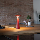 Damina Pro Portable Table Lamp