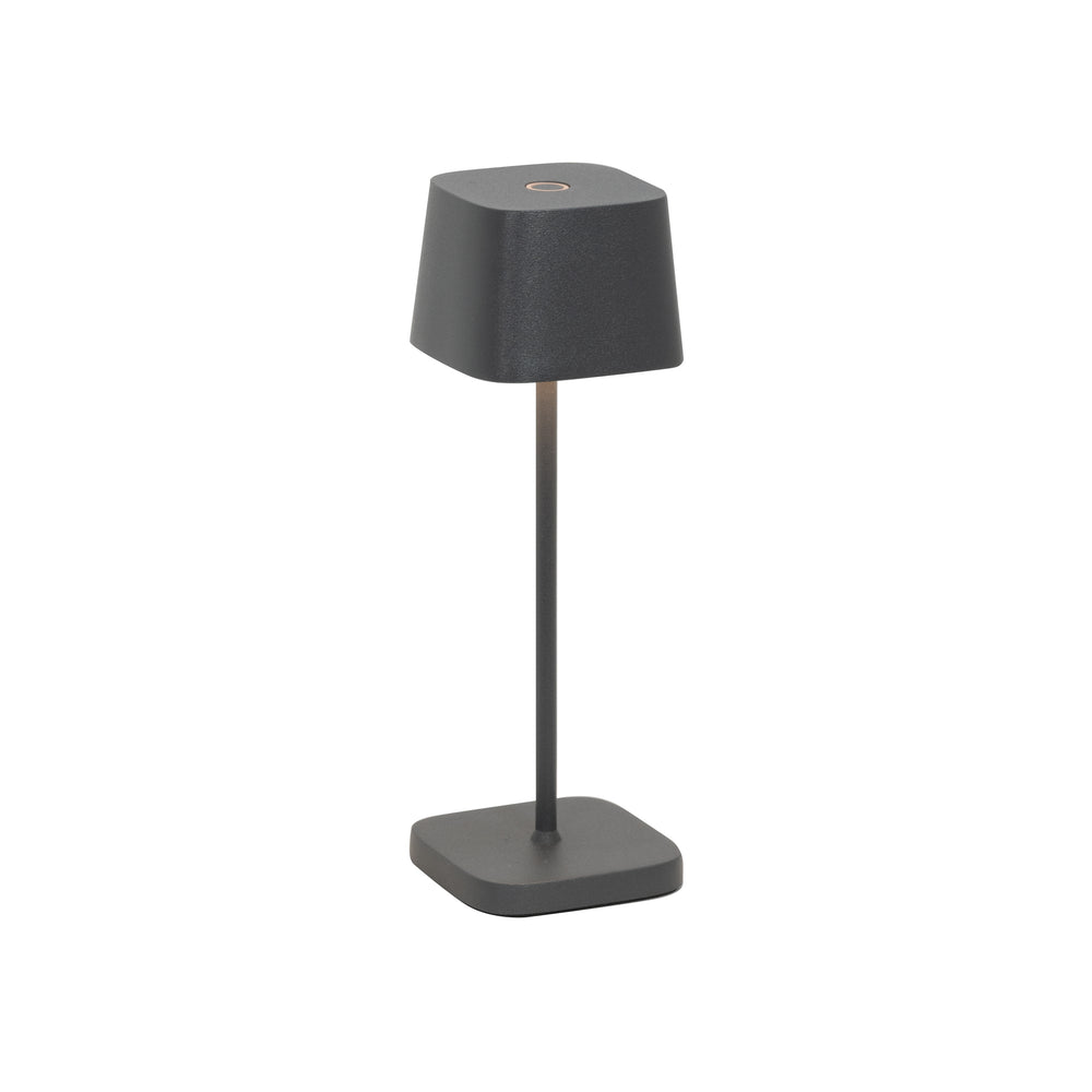 Ofelia Pro Micro Portable Outdoor LED Table Lamp