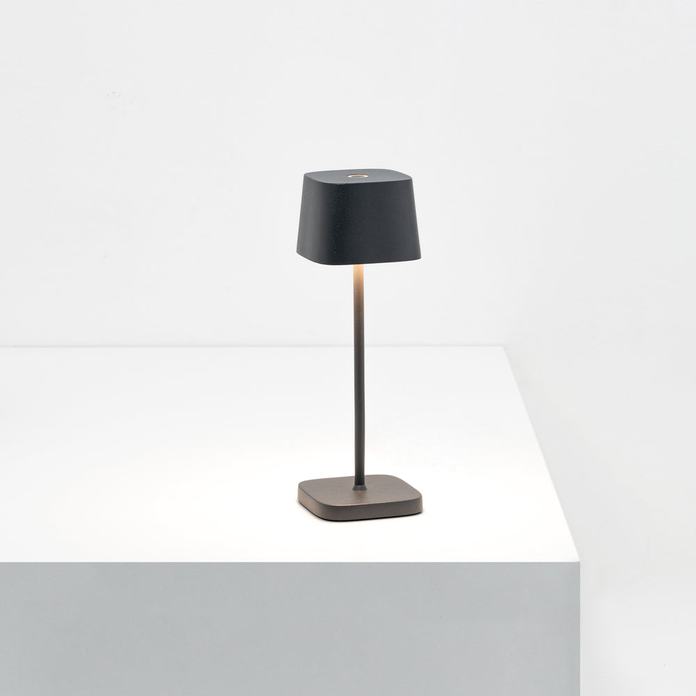 Ofelia Pro Micro Portable Outdoor LED Table Lamp