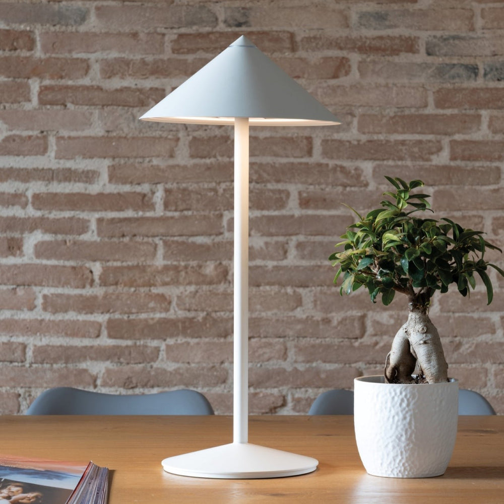Pina L Portable Desk Lamp