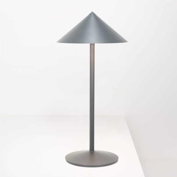Pina L Portable Desk Lamp