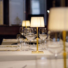 Poldina Classic Portable LED Table Lamp