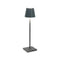 Poldina Micro Outdoor Table Lamp  option Dark Grey