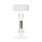 Royal Portable Outdoor LED Table Lamp  option White with Clear / Gray glass