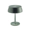 Sister Light Wi-Fi Mini Portable LED Outdoor Table Lamp  option Anodized Green