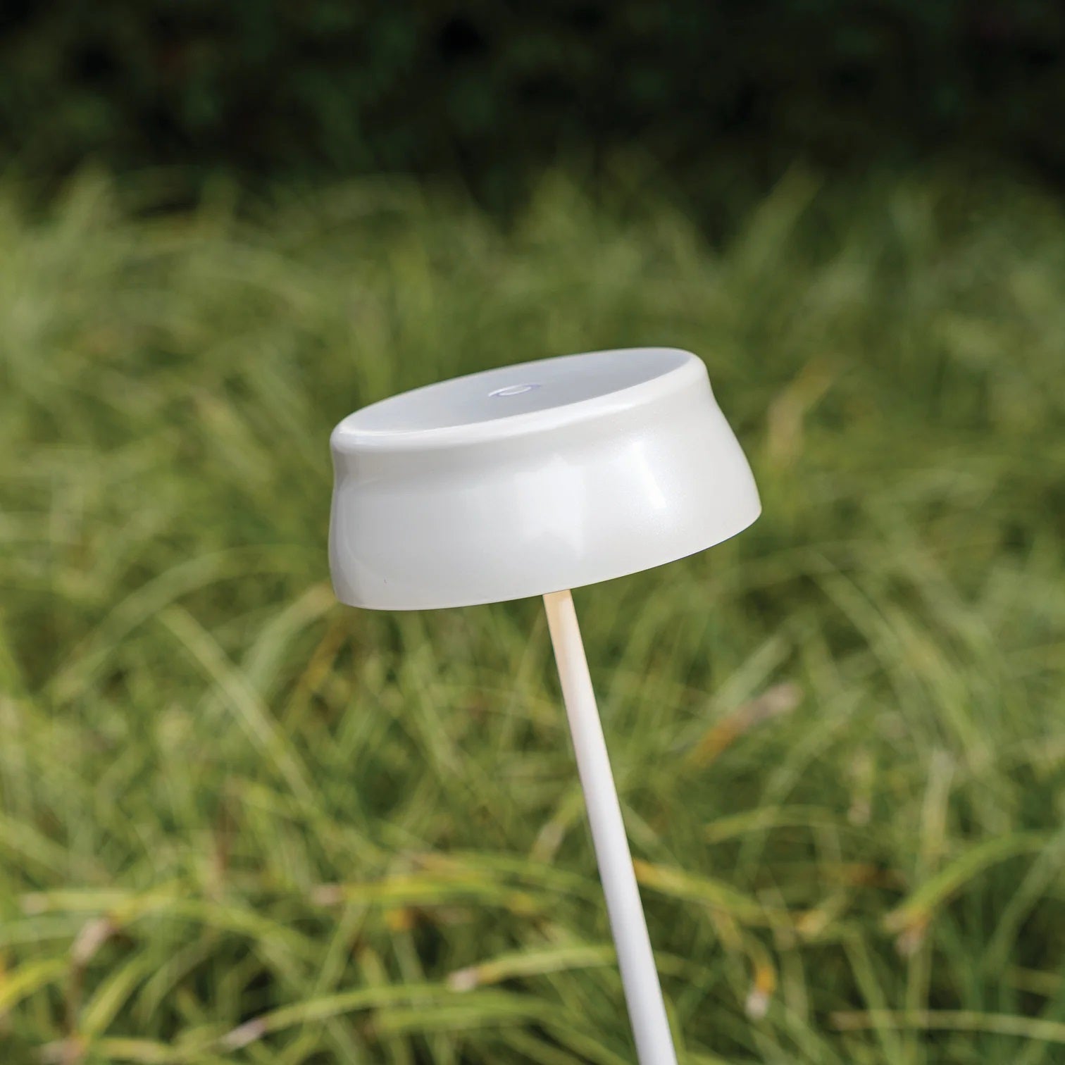 Zafferano America Sister Light Lamp - Thumbnail 2