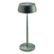 Sister Light Wi-Fi Portable LED Outdoor Table Lamp  option Anodized Green