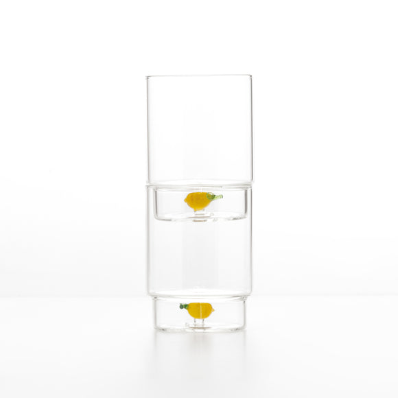 Teca Frutta Tumbler (Set of 6)