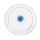 Teca Mare Tumbler (Set of 6)