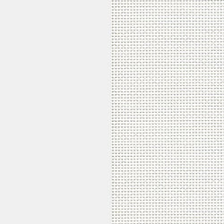 White / White