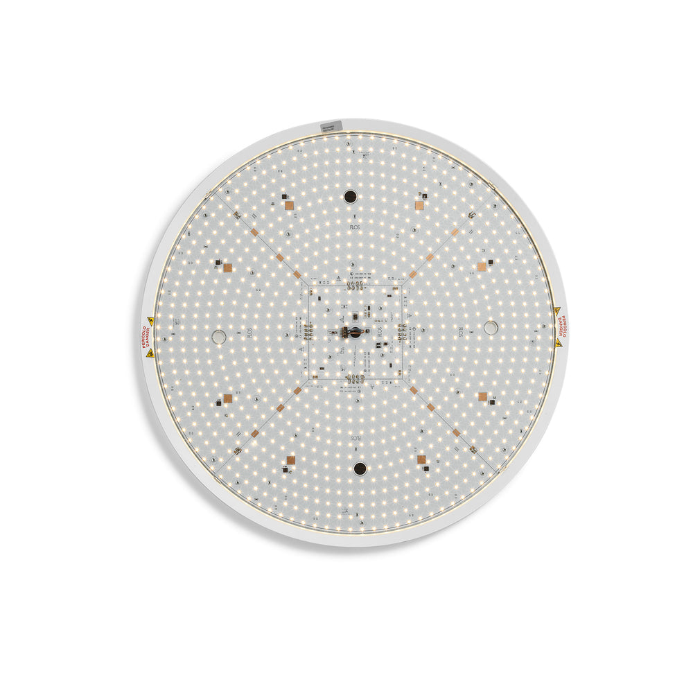 Clara Wall / Ceiling Light
