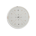 Clara LED Wall / Ceiling Light