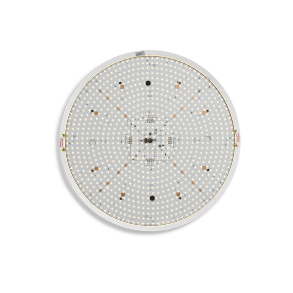 Clara LED Wall / Ceiling Light