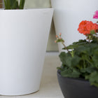 Cono Planter