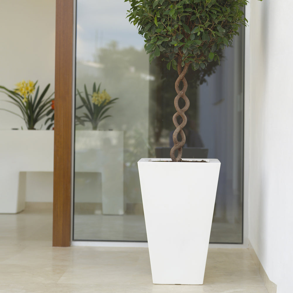 Cono Cuadrado Alto Planter