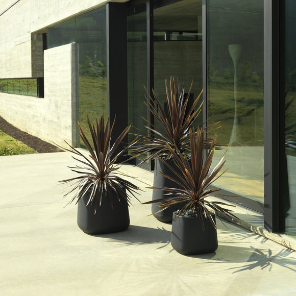 Organic Cuadrada Planter
