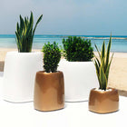 Organic Cuadrada Alta Planter