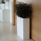 Wall Planter