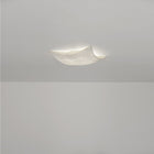Kite Wall or Ceiling Light